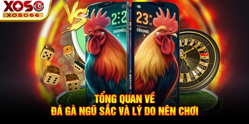 tong quan ve da ga ngu sac va ly do nen choi